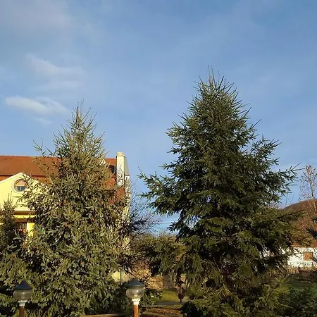 Guest house Cserhatvoelgy Panzio *